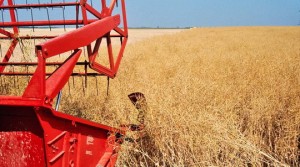 articles.20101101-osr-technology.04 articles.20101101-osr-technology.04
