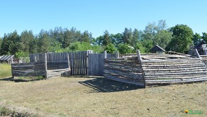 DSC_0011 Тыльная сторона улицы в Кнышах. Огороженные места для компоста