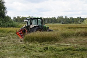 spring_lake_moor_moorland_nature_nature_reserve_landscape_nature_conservation_swamp-547342 spring_lake_moor_moorland_nature_nature_reserve_landscape_nature_conservation_swamp-547342