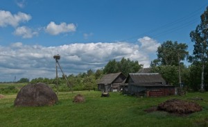 1585506 1585506