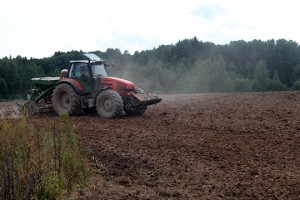 IMG_2537 IMG_2537