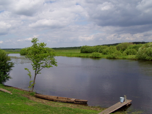 БАЛАШЭВІЧЫ