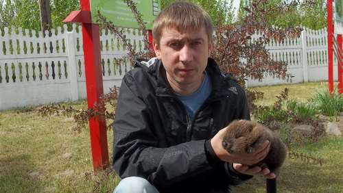 Спасенный бобренок