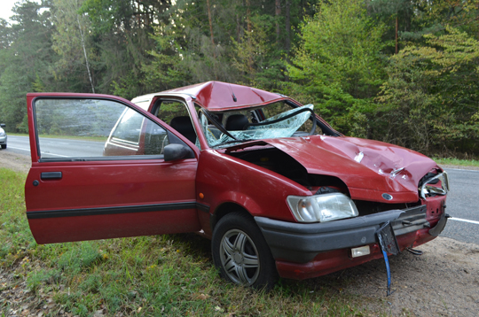 Автомобиль «Форд», за рулем которого находилась жительница Глуска, столкнулся сегодня утром с лосем