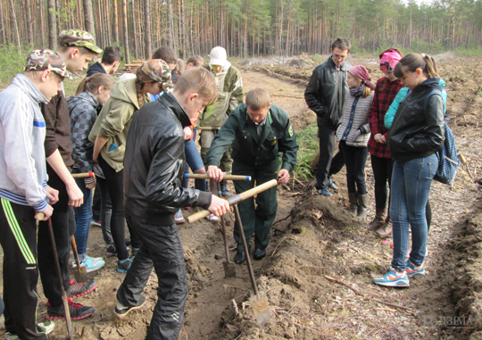 Плюс 58 гектаров