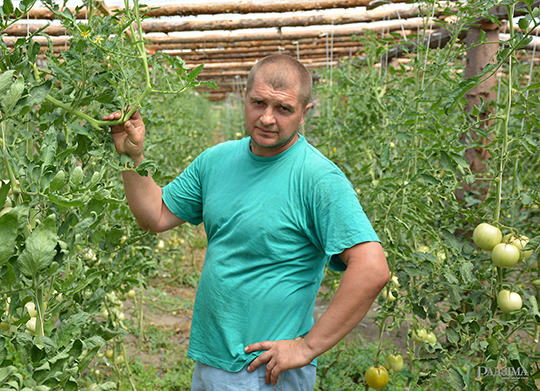 Начало есть, будет и продолжение