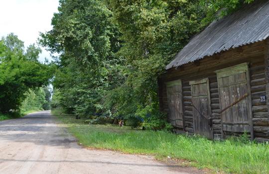 Падарожжа па родным краі. Касарычы