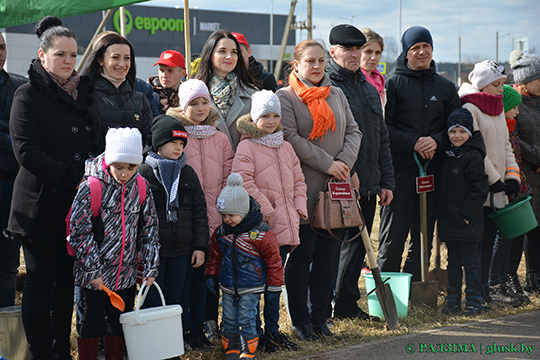 Семейная липовая аллея появилась в Глуске на улице Гагарина