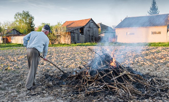 Дым над огородами — примета осени или повод для ссор?