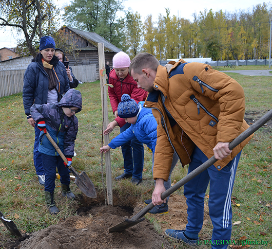 Сад Перамогі пасадзілі ў школе № 2 Глуска