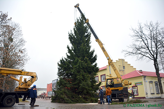 В Глуске устанавливают новогоднюю елку (фоторепортаж)