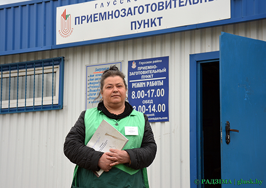 Заготовка вторсырья — польза для экологии, кошелька плюс порядок во дворах