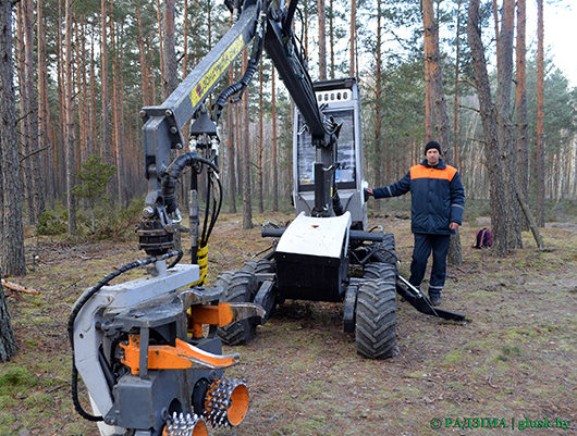 В Глусском лесхозе успешно работает новая техника, предназначенная для ухода за молодыми лесными насаждениями