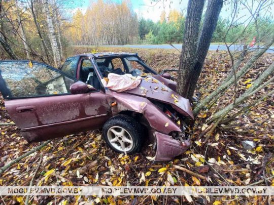 Автомобиль съехал в кювет и врезался в дерево вблизи агрогородка Катка Глусского района