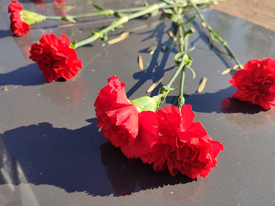 На Аллее Славы в Глуске легли цветы к памятникам Героям войны и труда