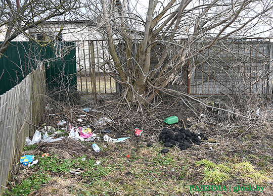 Журналісты прайшлі па Глуску, каб паглядзець, ці шмат смецця на вуліцах і ў грамадскіх месцах раённага цэнтра назбіралася за зіму