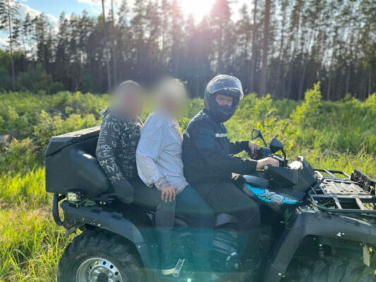 Пятерым грибникам, потерявшимся в лесах Могилевщины, помогли спасатели