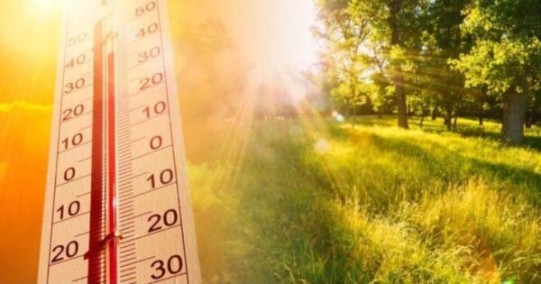 Будет даже жарко. Прогноз погоды на 2—6 июля