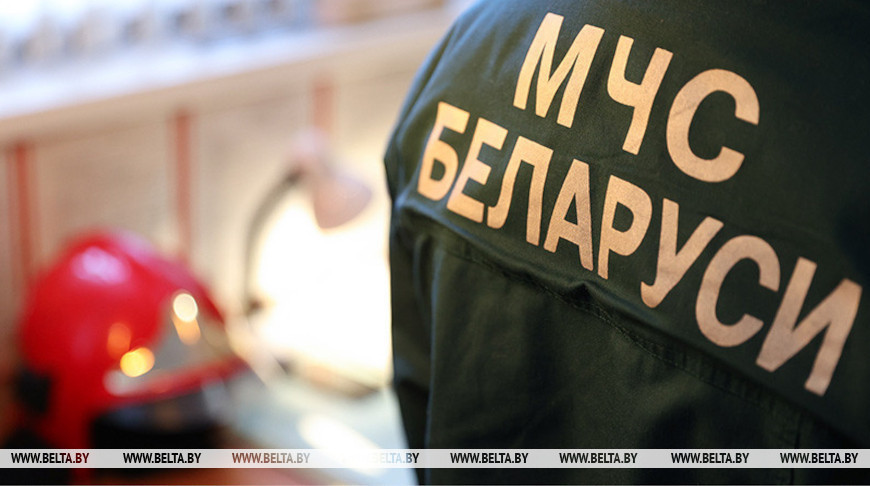 О факторах опасности при сильном ветре рассказали в МЧС