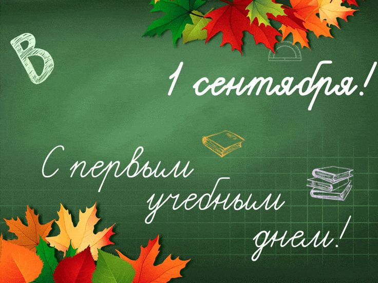 С Днем знаний! Поздравление от руководства области
