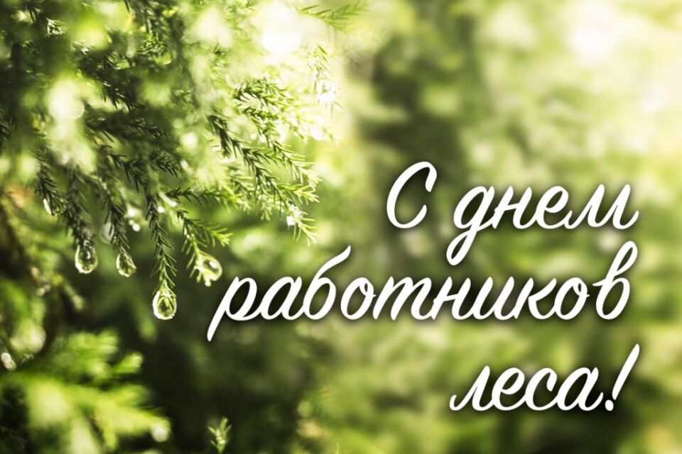 С Днем работников леса! Поздравление руководства района