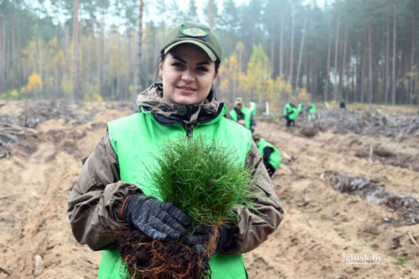 Глусчане присоединились к акции Минлесхоза «Дай лесу новае жыццё!»