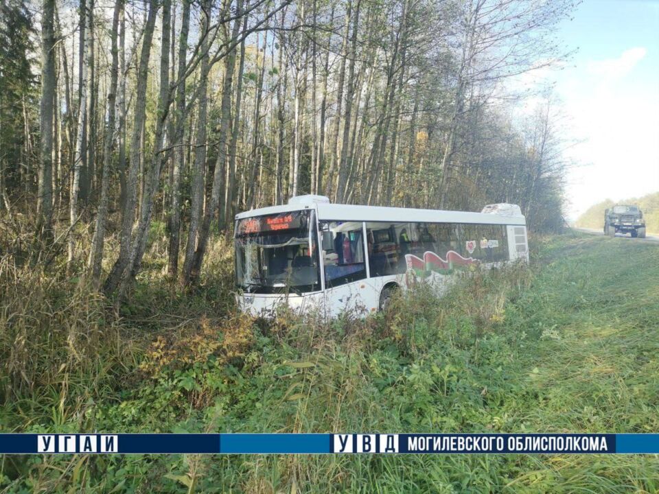 Под Могилевом пригородный автобус съехал в кювет