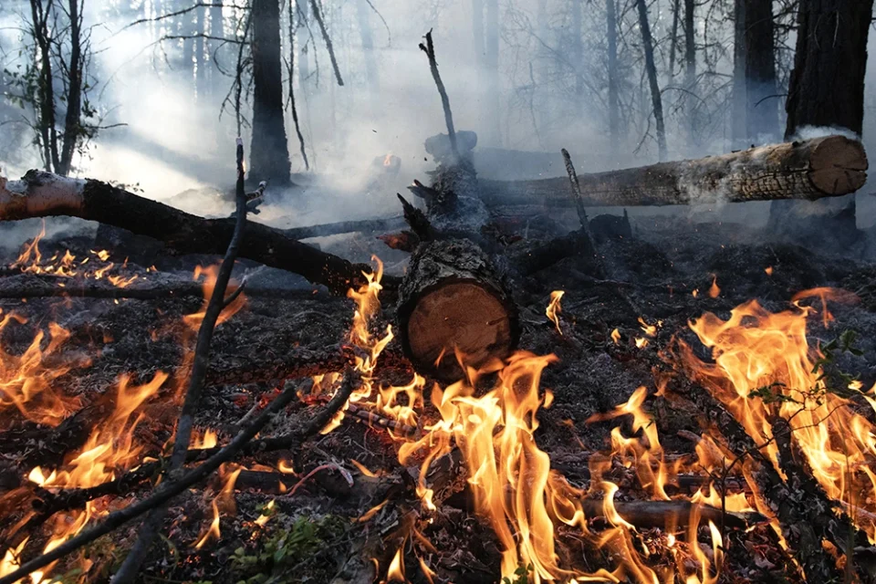 Глусский РОЧС: с начала года в Беларуси на пожарах погибли более 380 человек