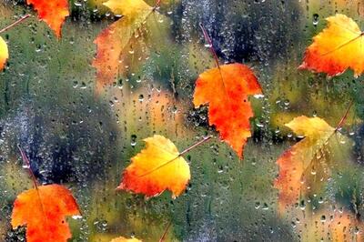 Похолодает. Прогноз погоды