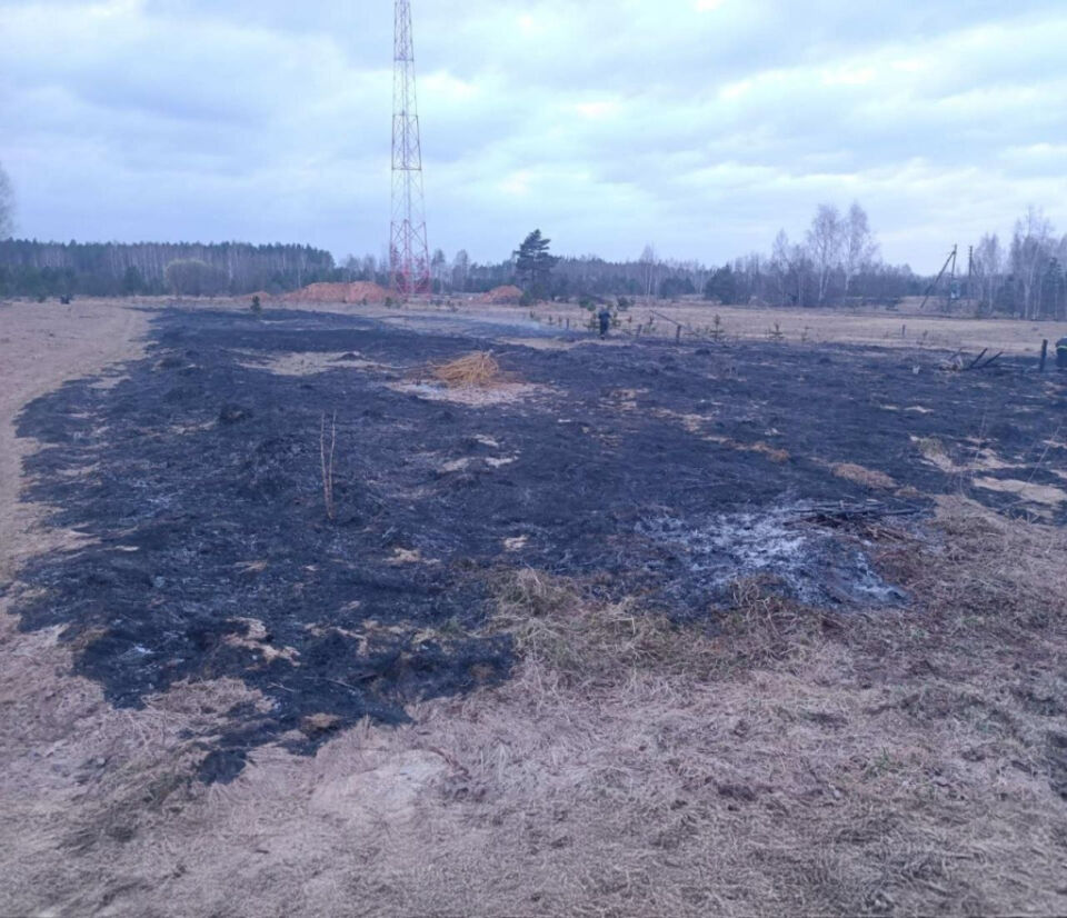 Огненная статистика весенних палов: есть пострадавший