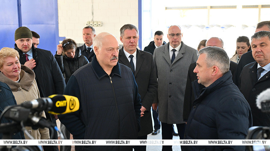 Сельское хозяйство и «кондитерка». Лукашенко приехал в Наровлянский район