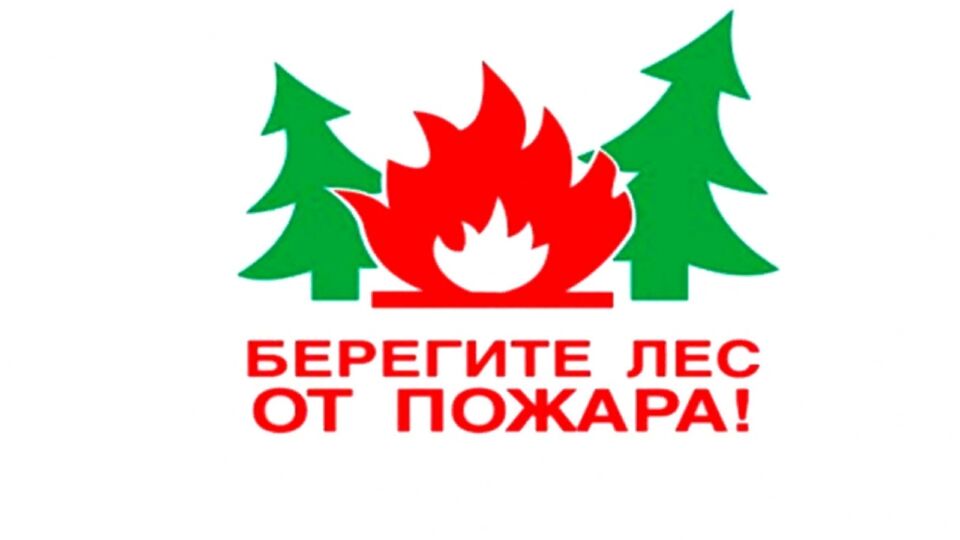 Глусский лесхоз. Берегите лес от пожаров!
