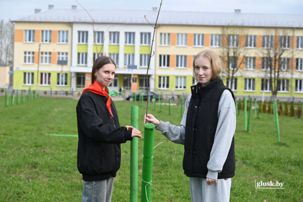 Вместе сделаем больше! Глусчане подключились к республиканскому субботнику
