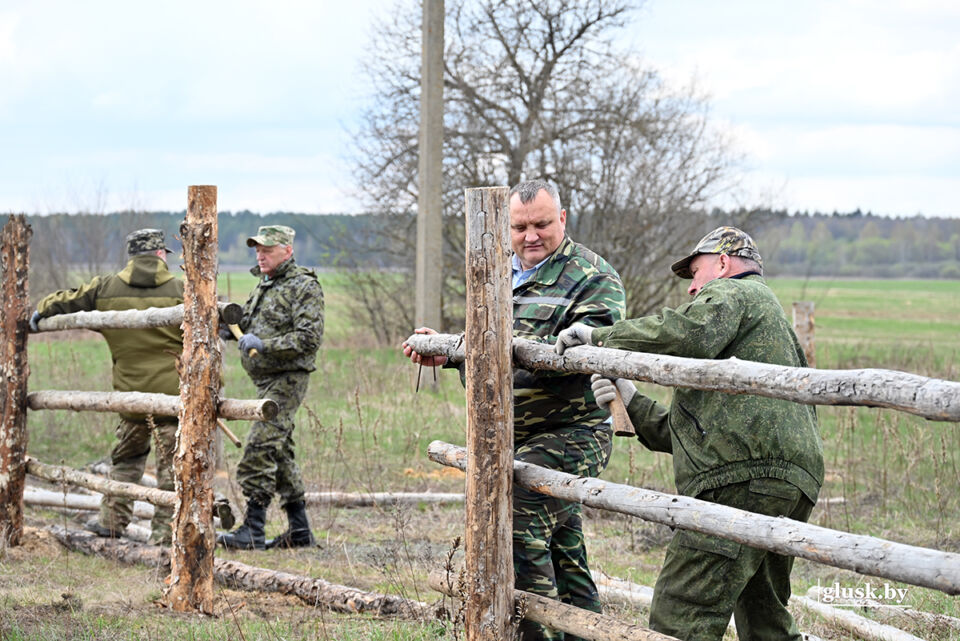 Председатель Глусского райисполкома Алексей Журавлёв на субботнике работал на животноводческом объекте в ОАО «Турино-агро»