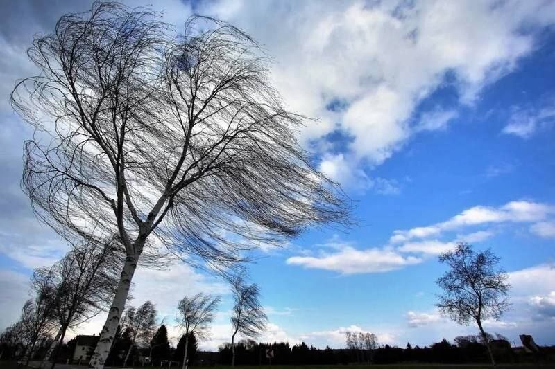 Весна сделала шаг назад. Прогноз погоды на 24—26 апреля