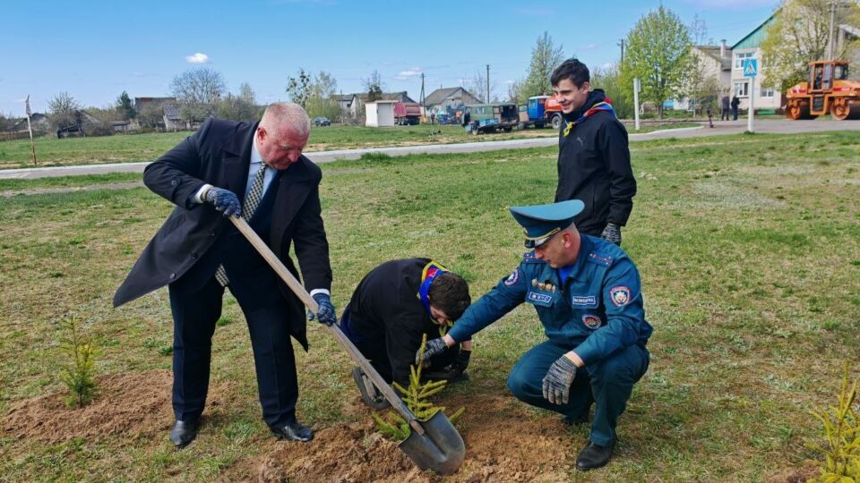 Накануне 40-летия со дня чернобыльской трагедии по инициативе Глусского РОЧС возле памятника в Заелице высадили небольшую хвойную аллею