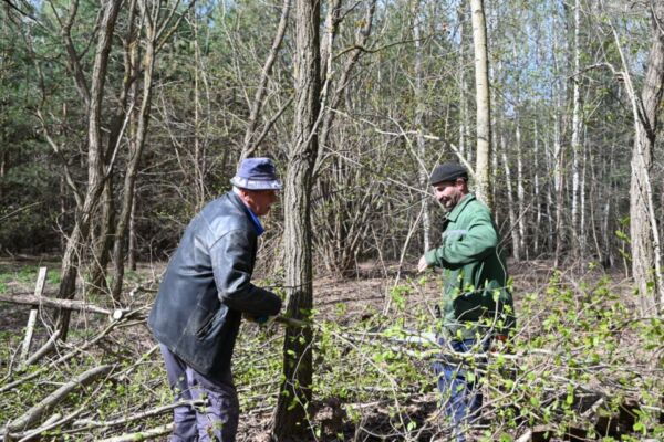 Уроженцы Згоды решили навести порядок на кладбище
