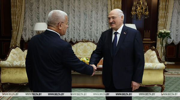 Лукашенко: Беларусь хотела бы иметь продвинутые, серьезные отношения с Алжиром