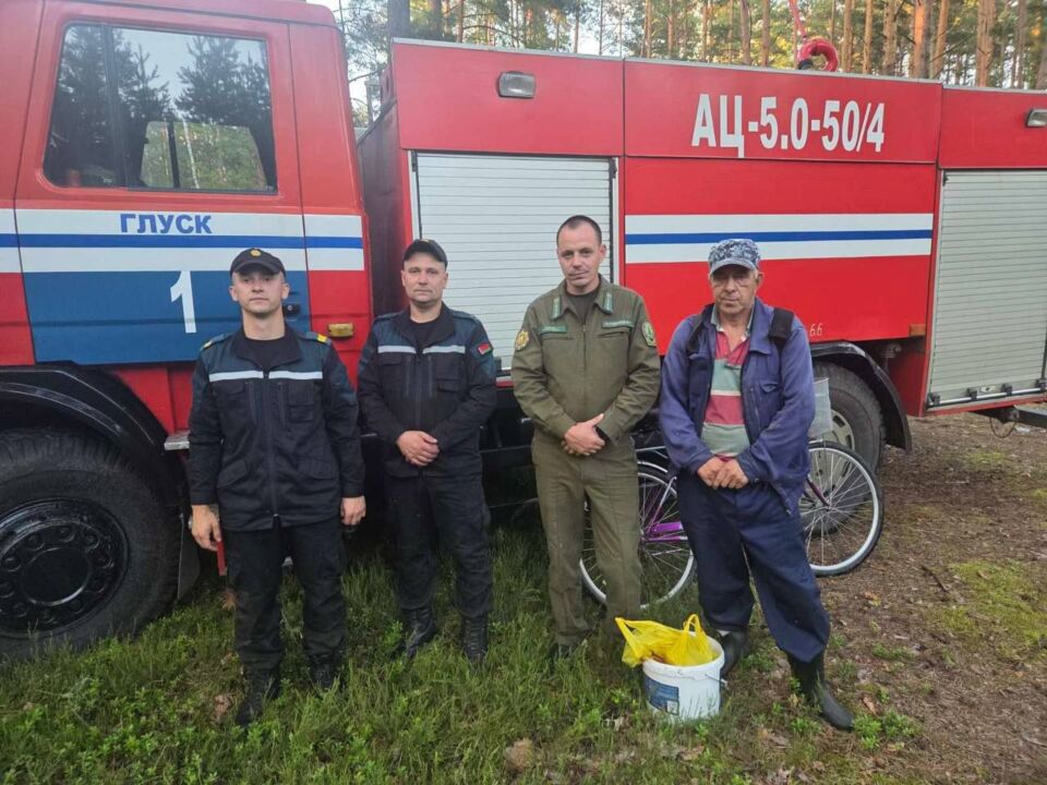 Оперативные действия спасателей и работников Глусского лесхоза помогли найти заблудившегося ягодника