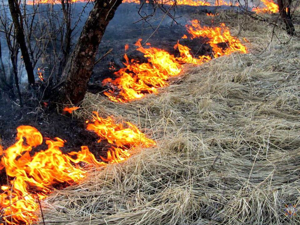 Глусский РОЧС. Неосторожное обращение с огнем — одна из основных причин возникновения пожаров