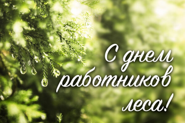 С Днем работников леса! Поздравляет руководство района