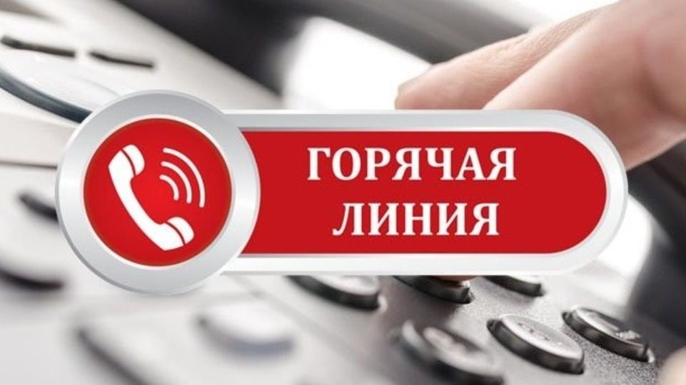 11 сентября Могилёвским облисполкомом проведется горячая линия для молодых специалистов