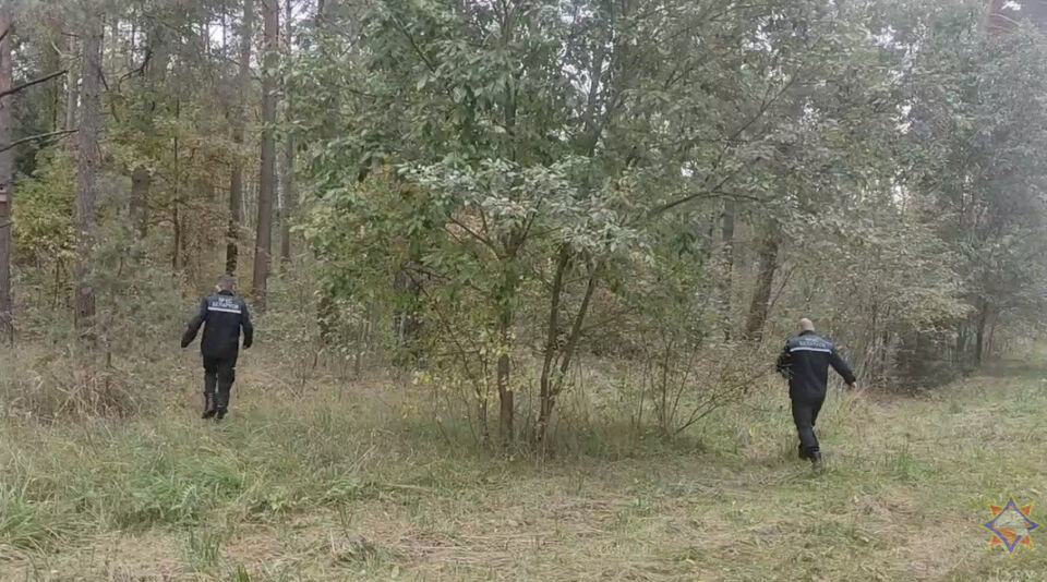 Работники МЧС помогли выйти из леса заблудившемуся грибнику в Краснопольском районе