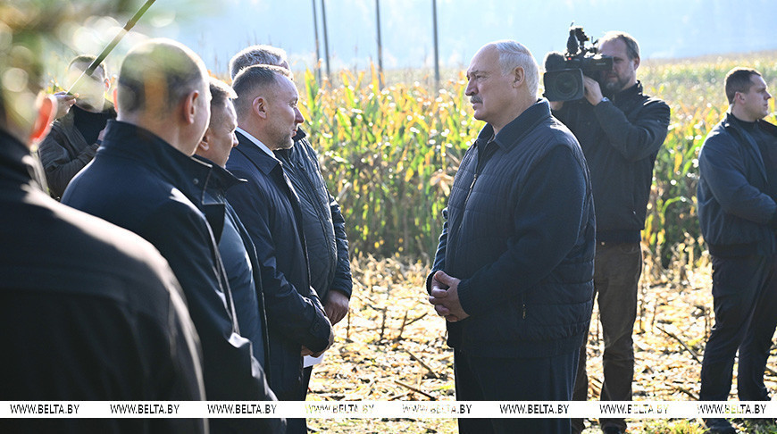 Что делать с «горами» вокруг Солигорска? Лукашенко ознакомился с экспериментом по повышению плодородия почв