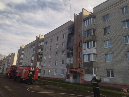Работники МЧС спасли двух мужчин на пожаре в Бобруйске