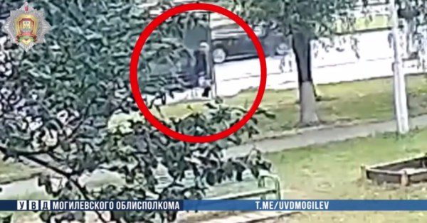 В Бобруйске забытая на остановке сумка обернулась уголовным делом